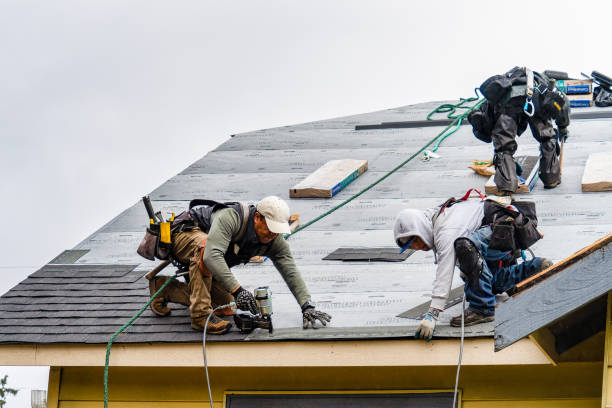 Professional Roof Replacement technician working in Wallis, TX